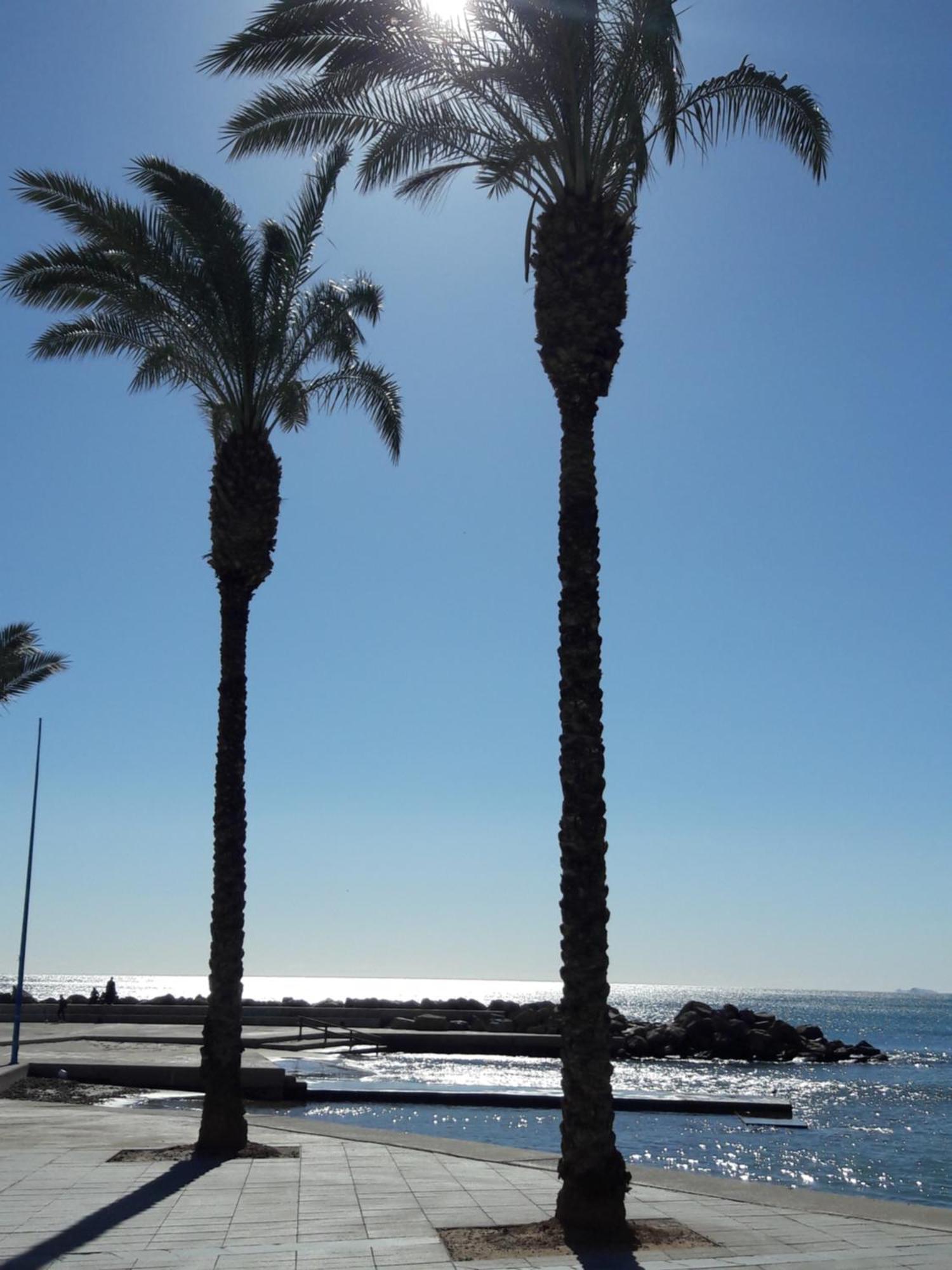 Carolinas Aptmt Orihuela Villacosta Bagian luar foto